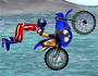 FMX Team
