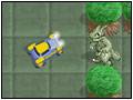 Warp Forest