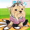 Pet Dressup 5
