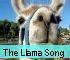 Llama Song