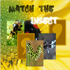 Match The Insect