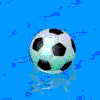 Waterball