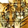 Tiger Brothers Puzzle