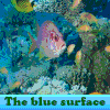 The blue surface